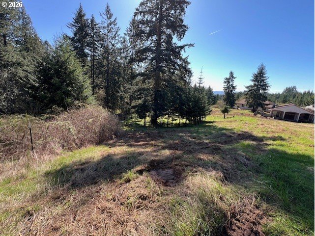 13707 Northwest Bishop Road Hillsboro, OR 97124 - Photo 41 of 45 a view of a yard with a tree