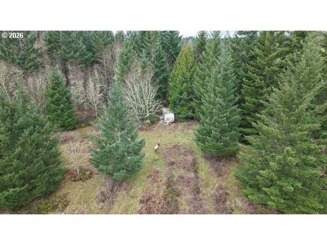 13707 Northwest Bishop Road Hillsboro, OR 97124 - Photo 43 of 45 a open area with trees in the background