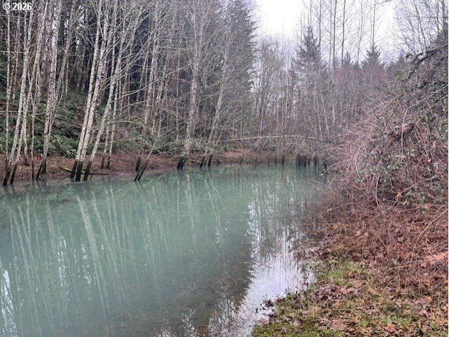 13707 Northwest Bishop Road Hillsboro, OR 97124 - Photo 44 of 45 a view of a lake with tall trees