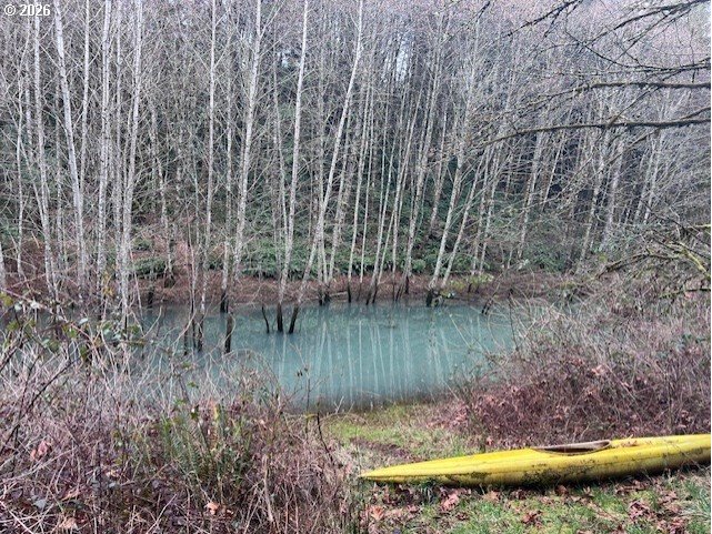 13707 Northwest Bishop Road Hillsboro, OR 97124 - Photo 45 of 45 a view of a garden with a lake