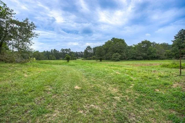 a view of a wooden deck
