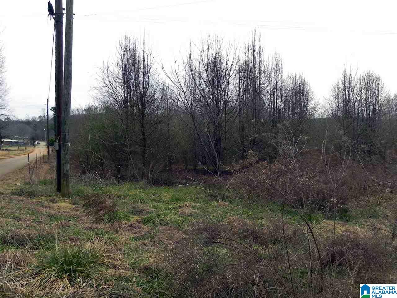 249 Field Street Anniston, AL 36207 - Photo 8 of 13