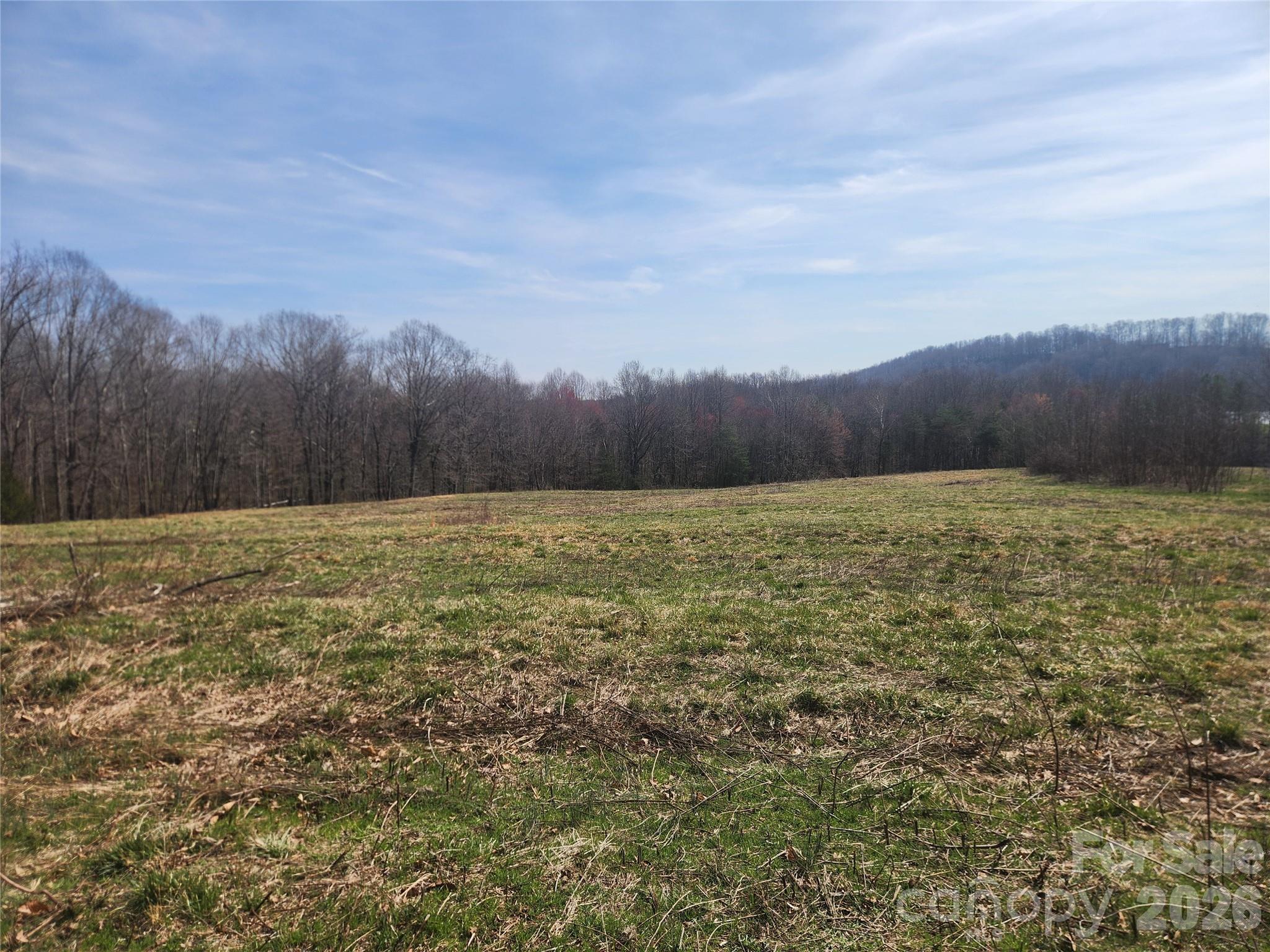 363 Center Church Road Hiddenite, NC 28636 - Photo 4 of 48