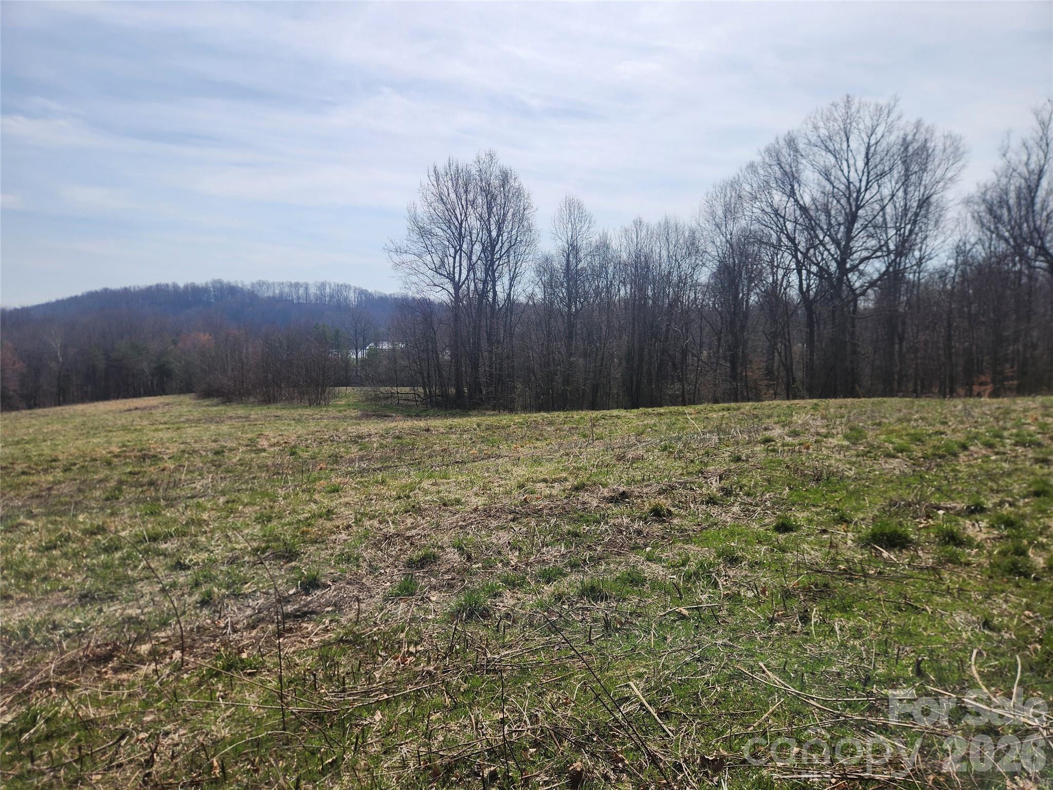 363 Center Church Road Hiddenite, NC 28636 - Photo 45 of 48