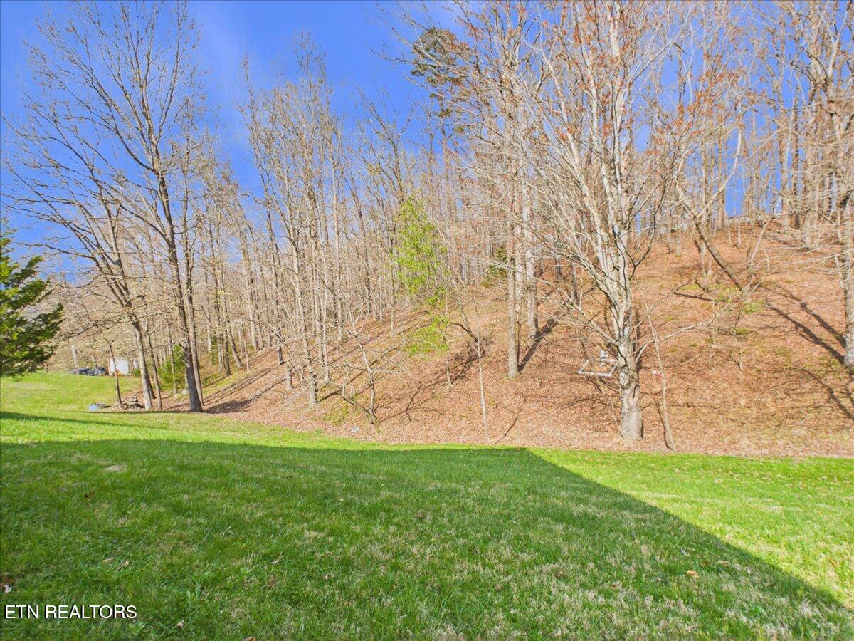 950 South Coolidge Road La Follette, TN 37766 - Photo 10 of 50 IMG_8212