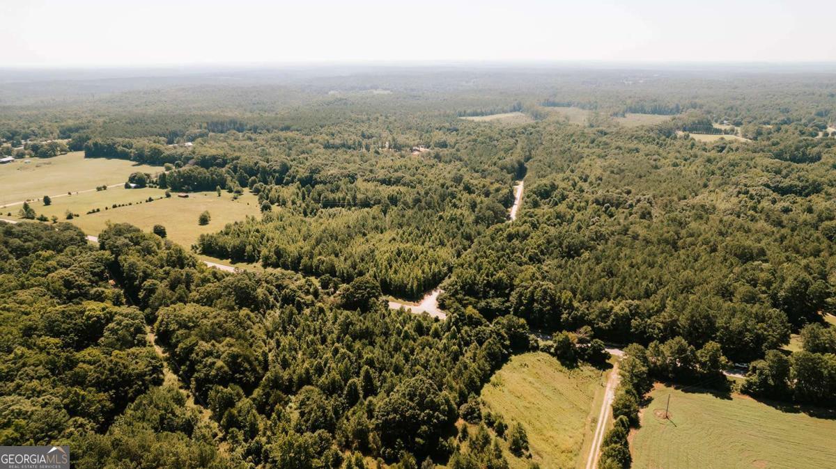 0 Lexington-Carlton Road Lexington, GA 30648 - Photo 14 of 20