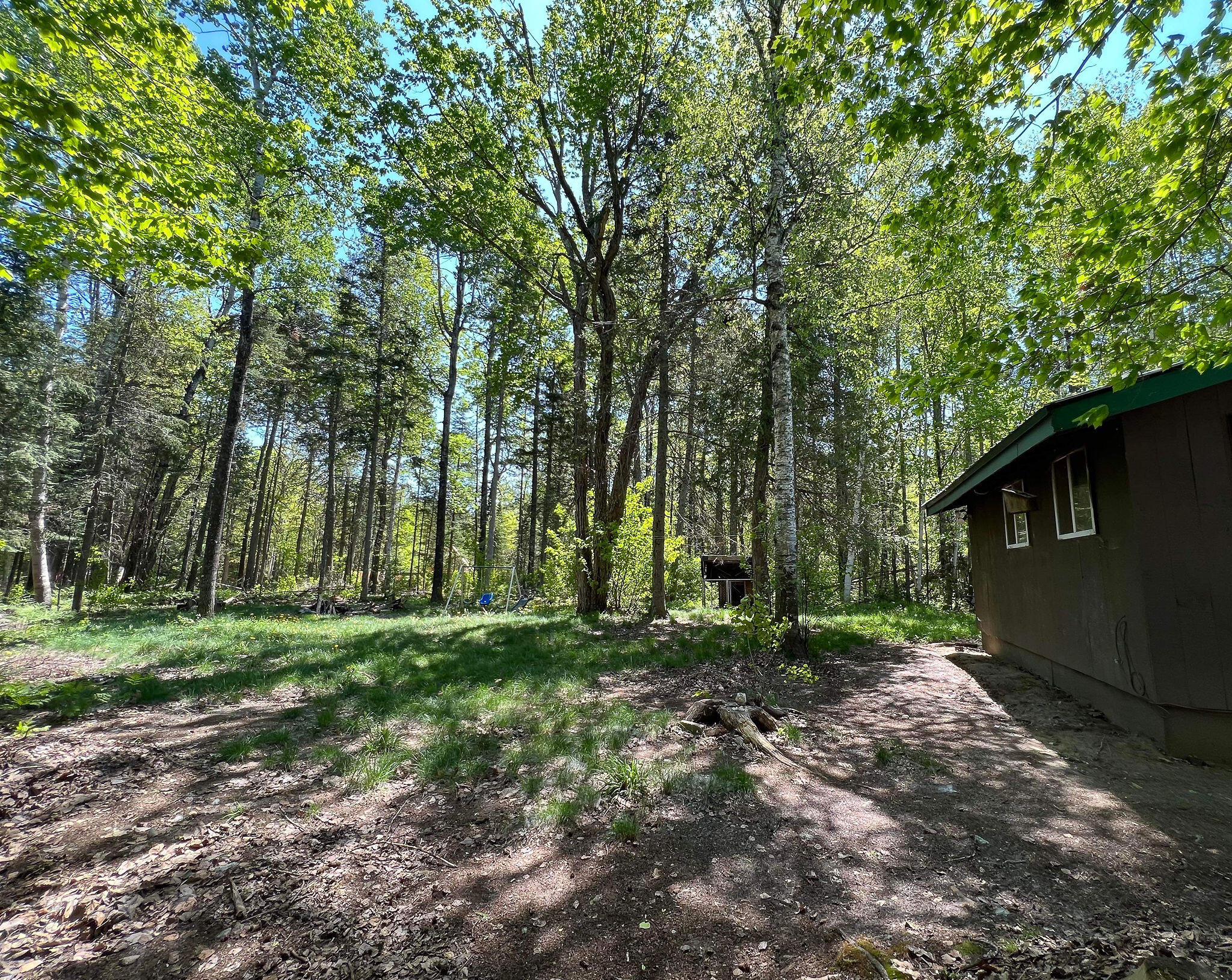 131 Porcupine Trail Stratton, ME 04982 - Photo 26 of 31 hedgehog-011