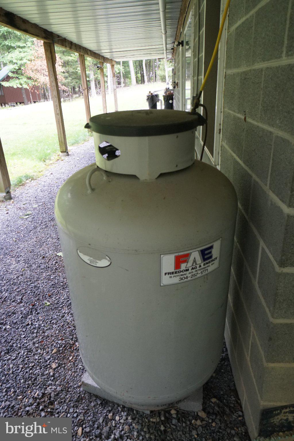 150 Sharp Ridge Lane Franklin, WV 26807 - Photo 15 of 69 Propane tank beside a rustic home.