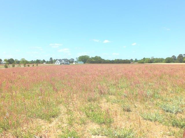 Hobson Road Dunn, NC 28334 - Photo 1 of 4 Photo 1