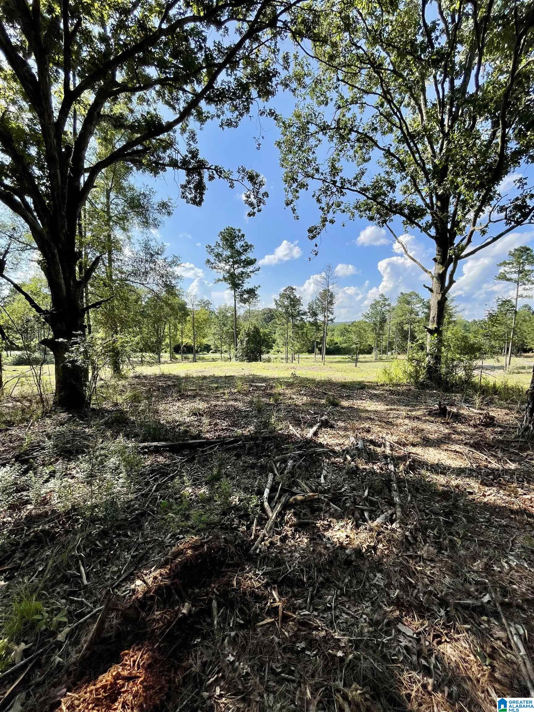 0 Ironaton Road, Unit 1 Talladega, AL 35160 - Photo 4 of 10