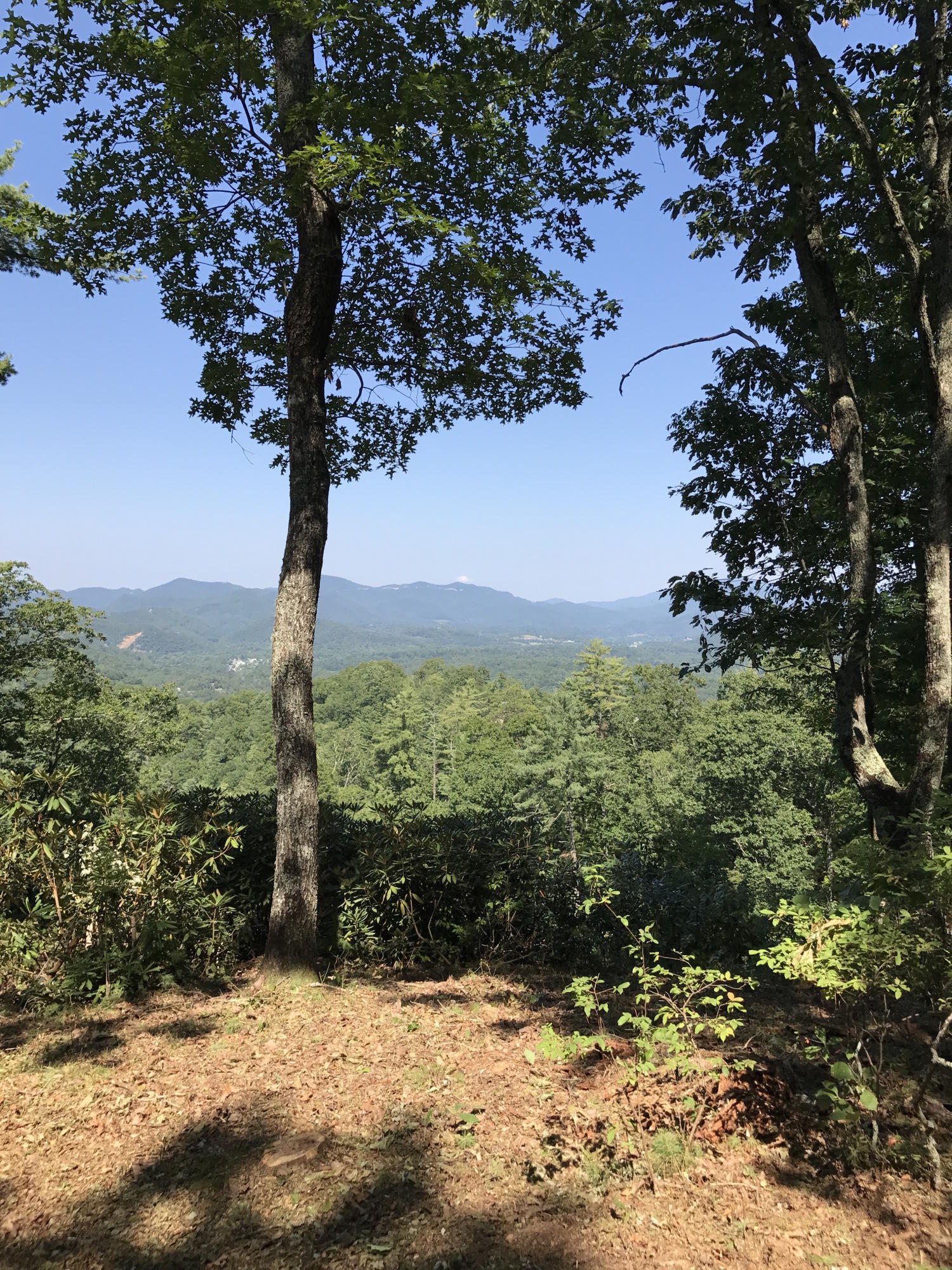 Slate Quarry Point Road Townsend, TN 37882 - Photo 3 of 10 6