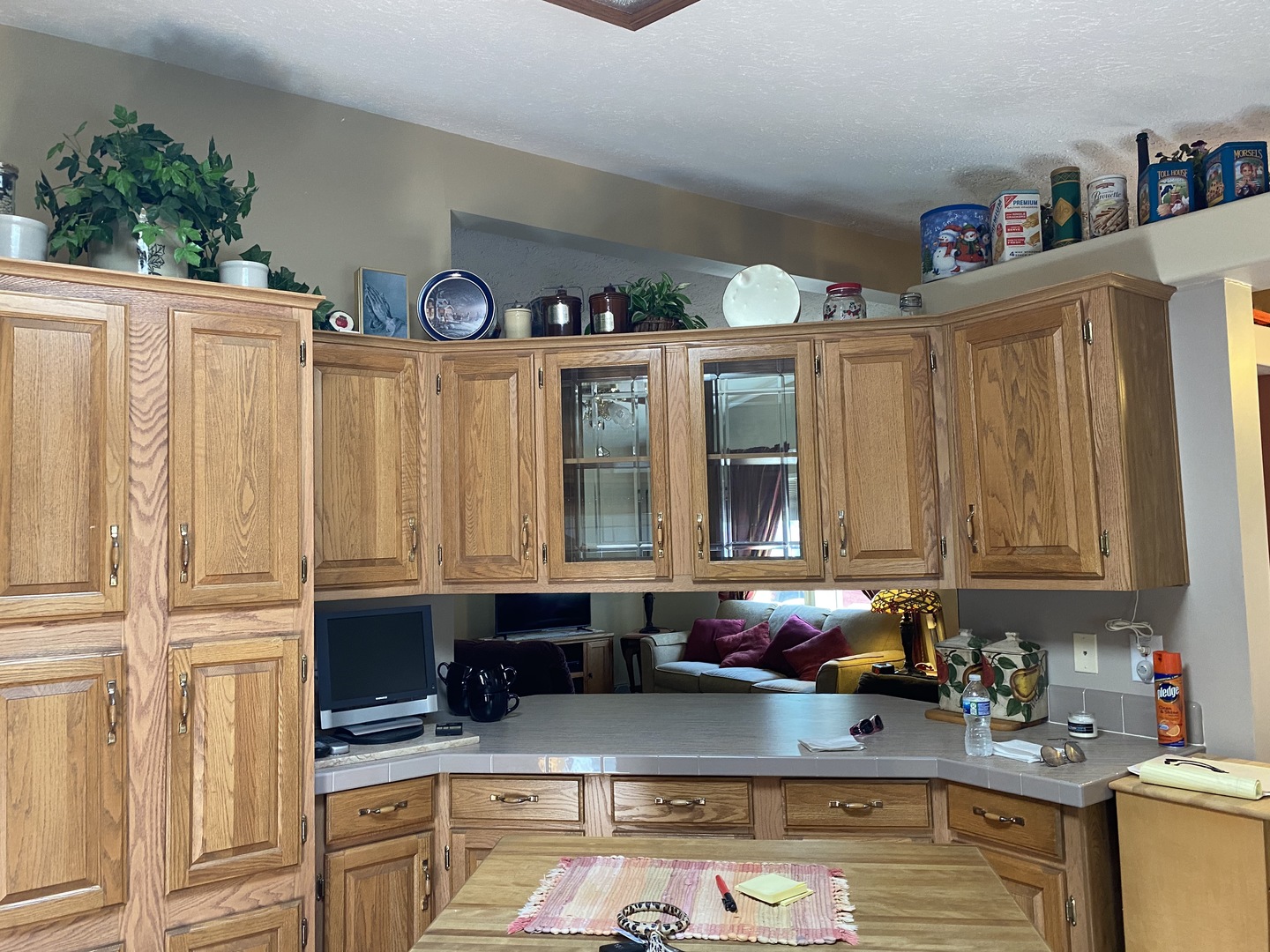 954 Melugins Grove Road Compton, IL 61318 - Photo 14 of 31