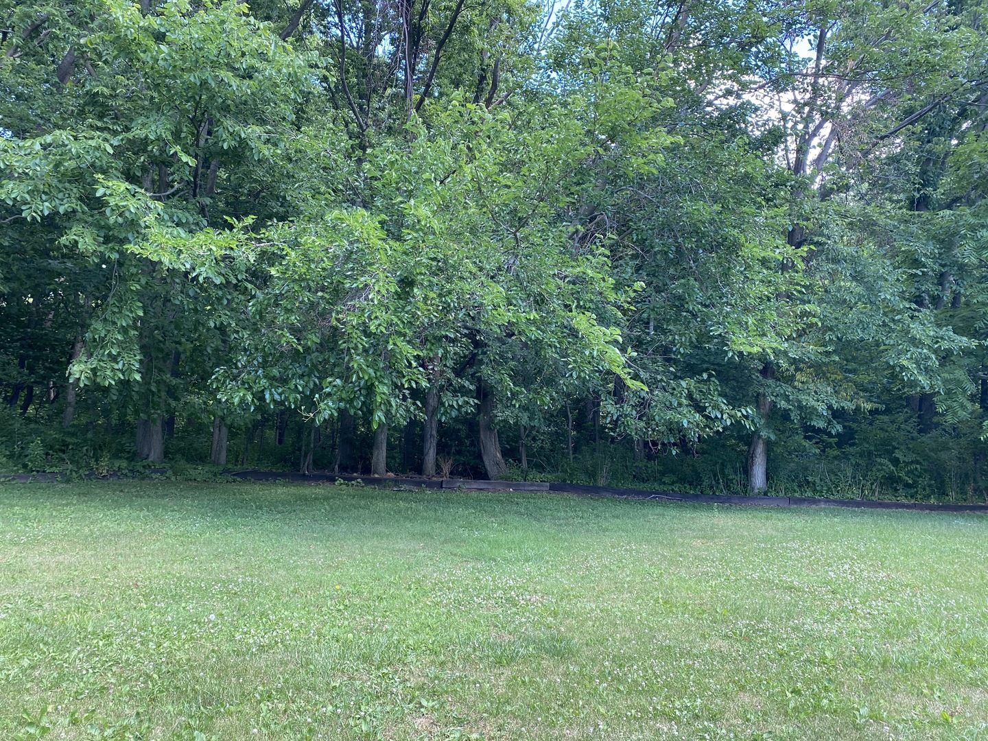 954 Melugins Grove Road Compton, IL 61318 - Photo 29 of 31