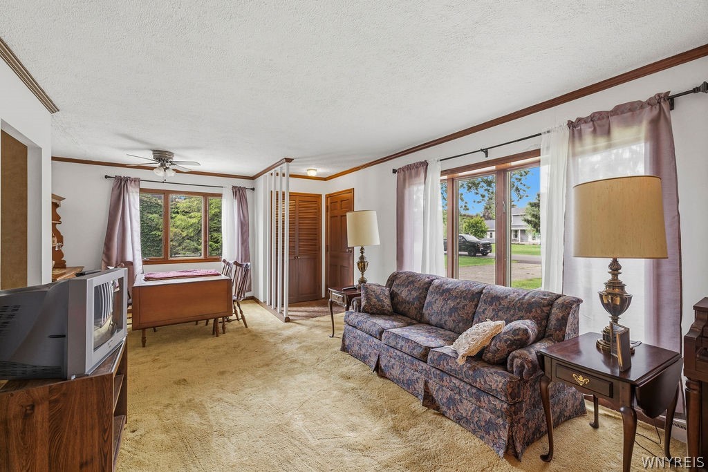 4600 Sawmill Road Clarence, NY 14031 - Photo 5 of 34