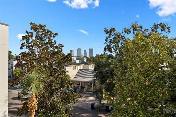 a view of a park with plants and trees