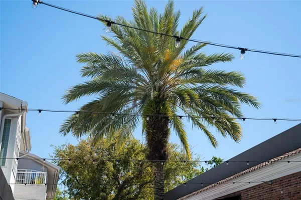 $3,800 | 435 South Oregon Avenue, Unit 305, Tampa, FL 33606