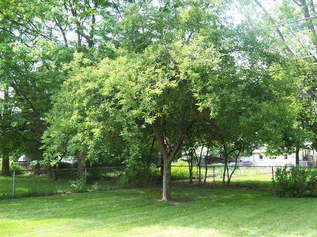 360 Garden Road Columbus, OH 43214 - Photo 15 of 18 Gallery Image 15