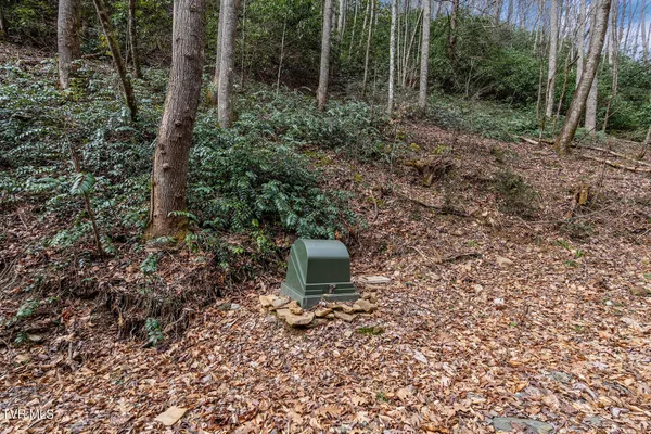 $89,400 | Lot 3 Ray Kegley Road, Unit 3, Erwin, TN 37650