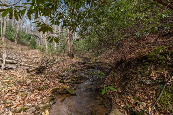 $89,400 | Lot 3 Ray Kegley Road, Unit 3, Erwin, TN 37650