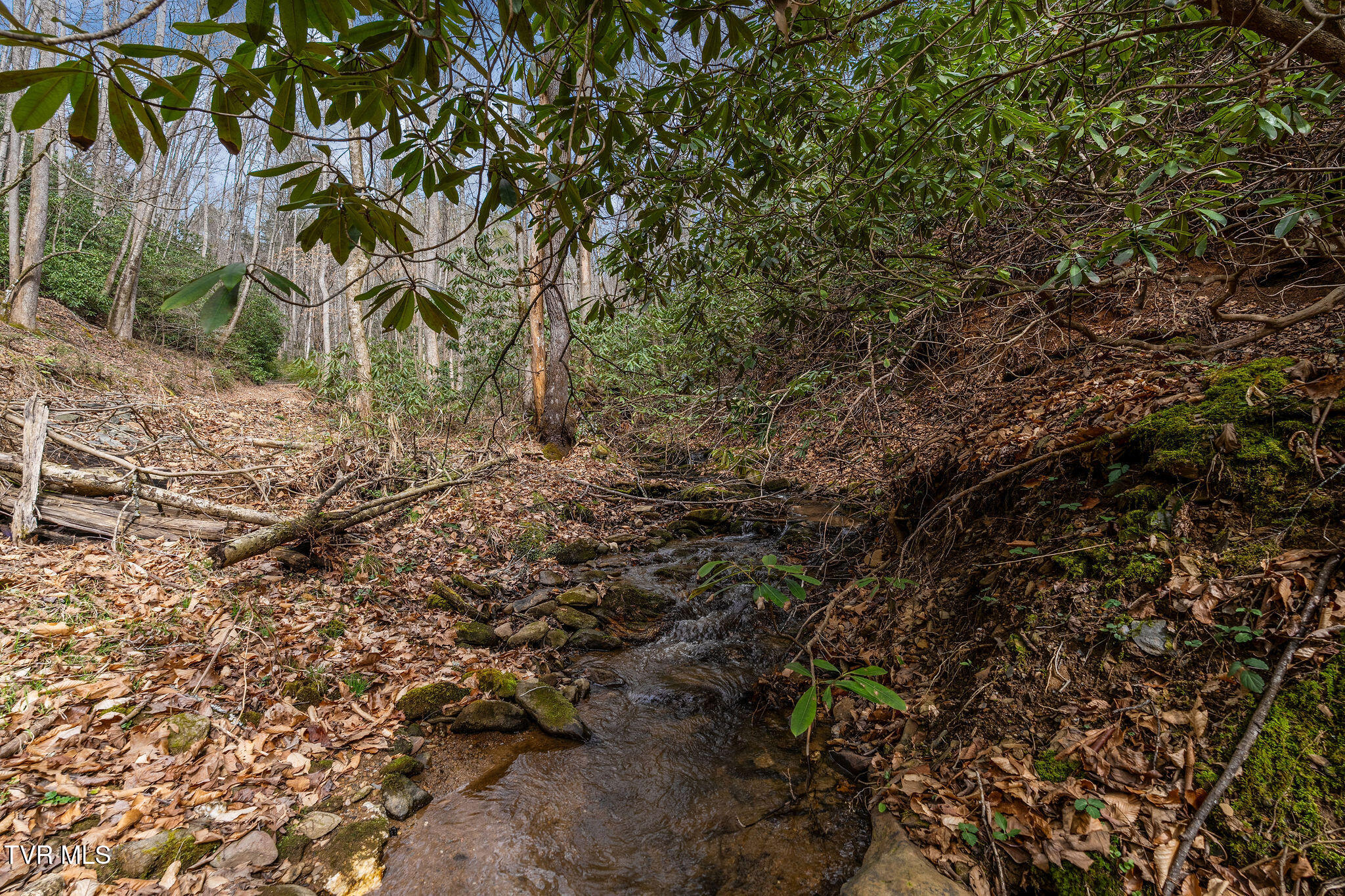 Lot 3 Ray Kegley Road, Unit 3 Erwin, TN 37650 - Photo 12 of 23 DSC07425