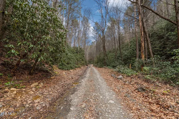 $89,400 | Lot 3 Ray Kegley Road, Unit 3, Erwin, TN 37650