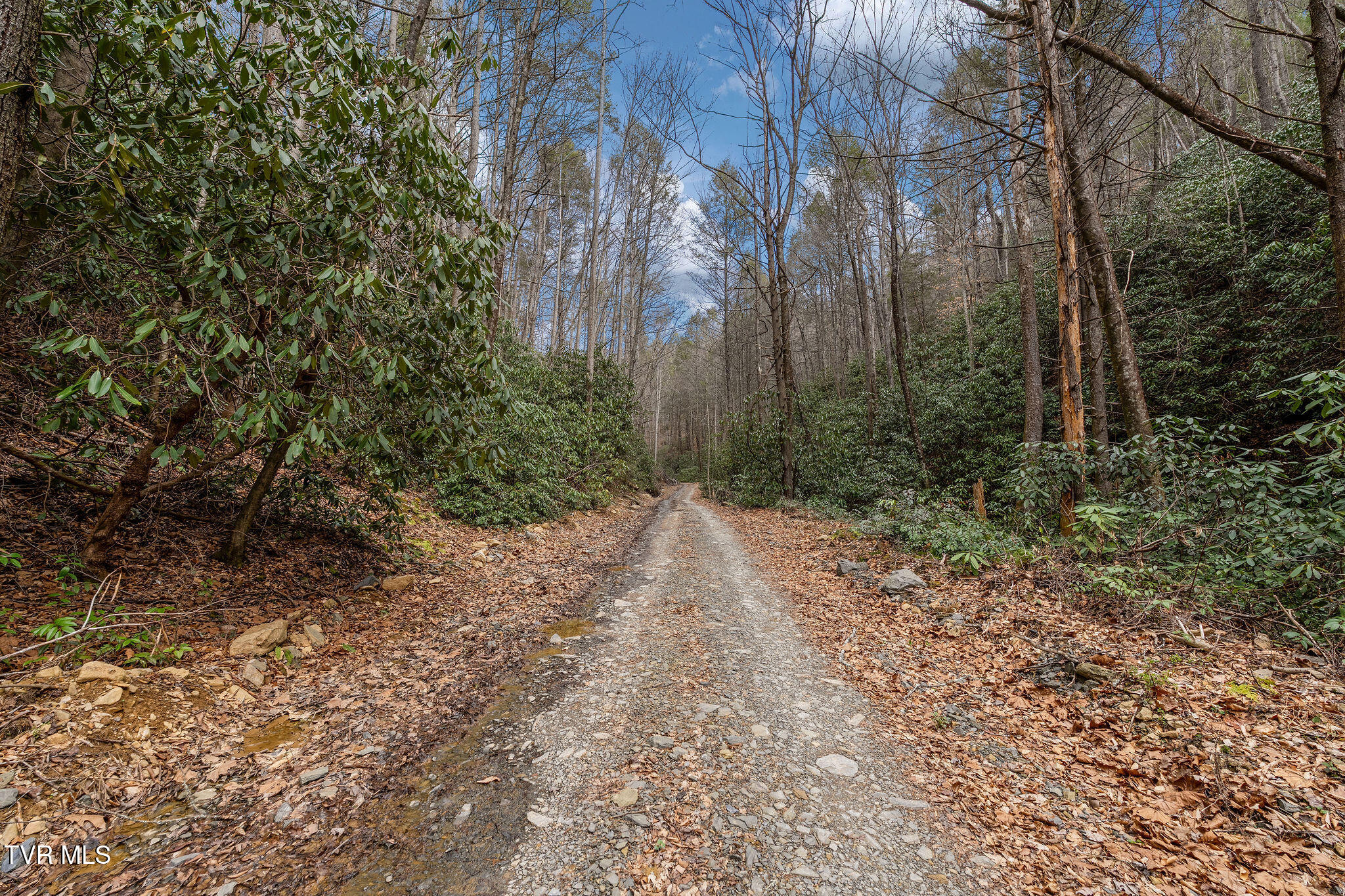 Lot 3 Ray Kegley Road, Unit 3 Erwin, TN 37650 - Photo 13 of 23 DSC07426