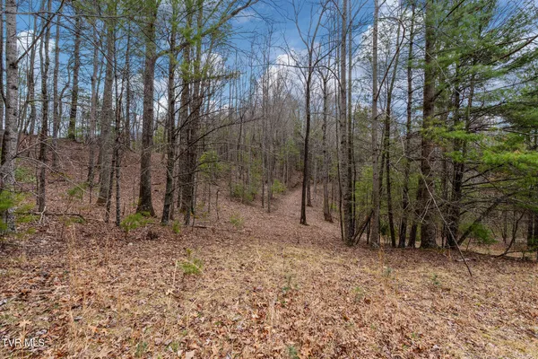 $89,400 | Lot 3 Ray Kegley Road, Unit 3, Erwin, TN 37650