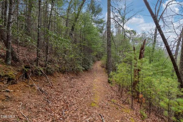 $89,400 | Lot 3 Ray Kegley Road, Unit 3, Erwin, TN 37650