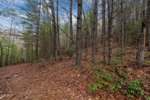 $89,400 | Lot 3 Ray Kegley Road, Unit 3, Erwin, TN 37650