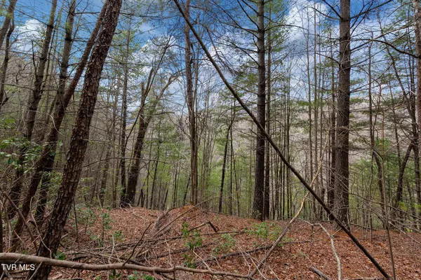 $89,400 | Lot 3 Ray Kegley Road, Unit 3, Erwin, TN 37650