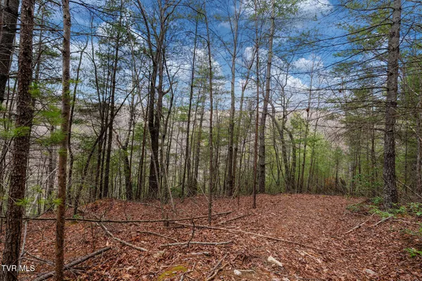 $89,400 | Lot 3 Ray Kegley Road, Unit 3, Erwin, TN 37650