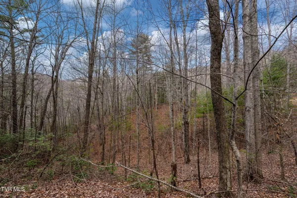 $89,400 | Lot 3 Ray Kegley Road, Unit 3, Erwin, TN 37650