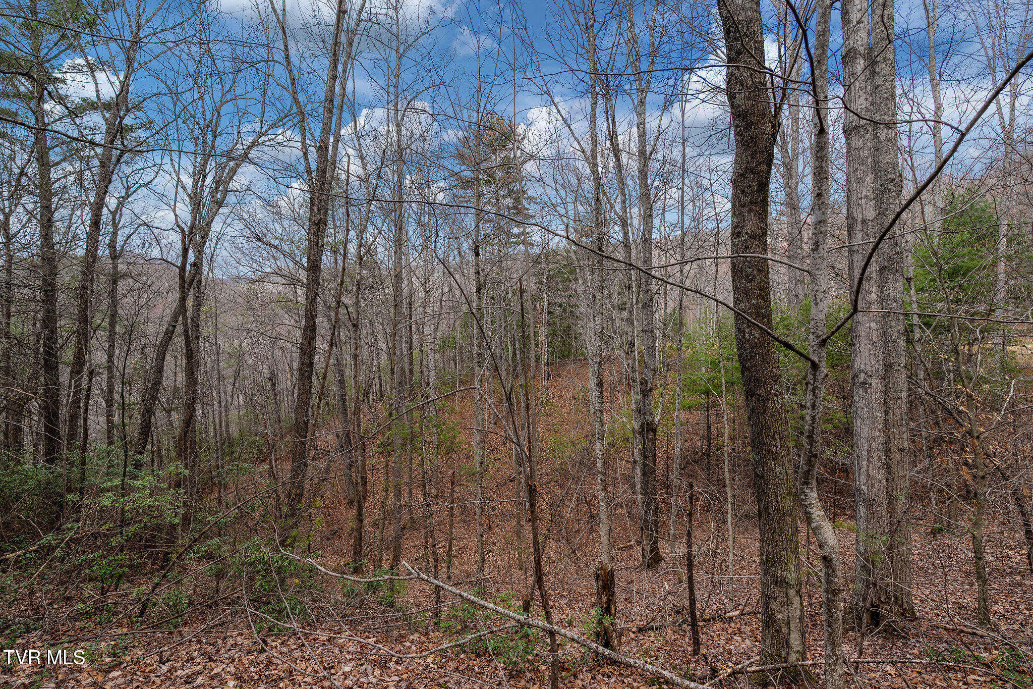 Lot 3 Ray Kegley Road, Unit 3 Erwin, TN 37650 - Photo 19 of 23 DSC07433