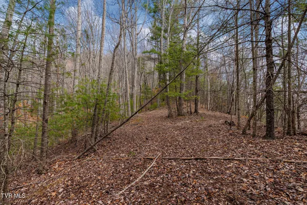 $89,400 | Lot 3 Ray Kegley Road, Unit 3, Erwin, TN 37650