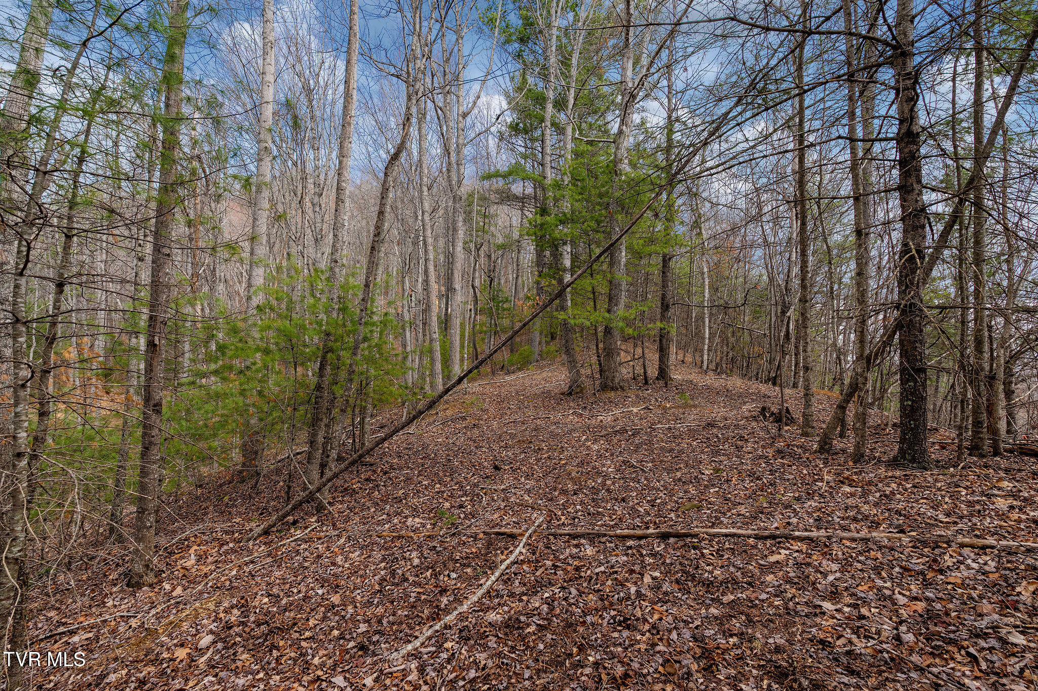 Lot 3 Ray Kegley Road, Unit 3 Erwin, TN 37650 - Photo 20 of 23 DSC07434