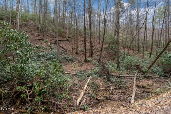 $89,400 | Lot 3 Ray Kegley Road, Unit 3, Erwin, TN 37650