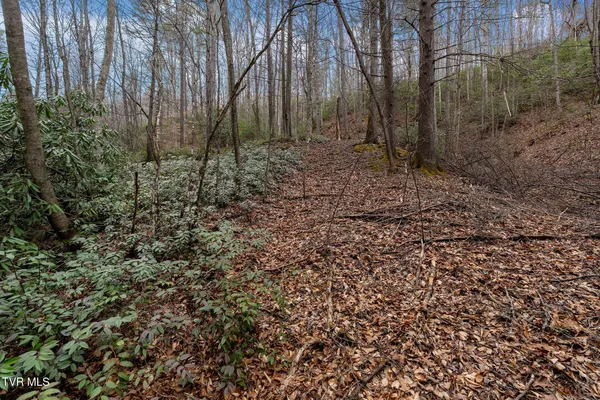 $89,400 | Lot 3 Ray Kegley Road, Unit 3, Erwin, TN 37650