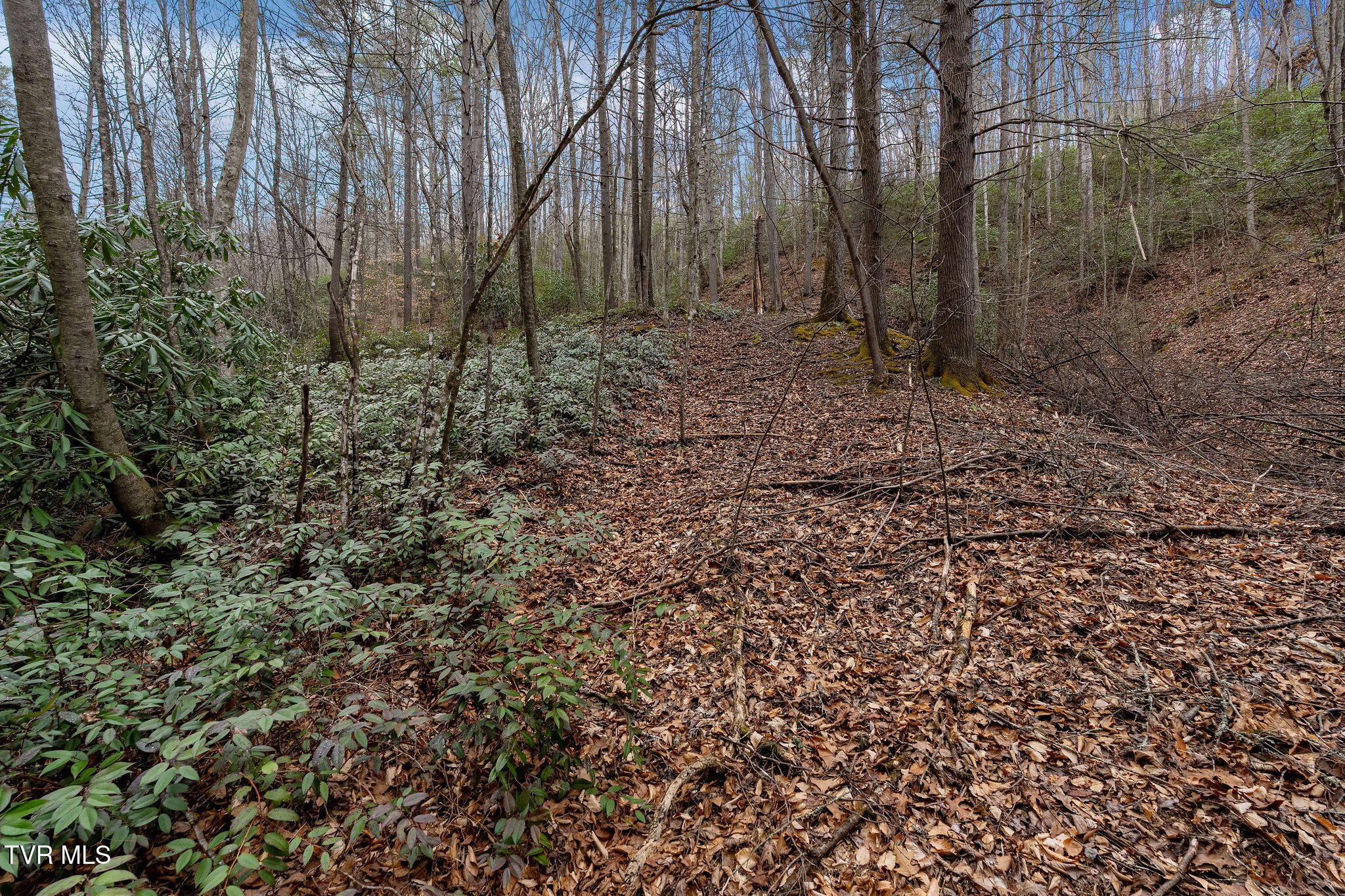 Lot 3 Ray Kegley Road, Unit 3 Erwin, TN 37650 - Photo 23 of 23 DSC07437