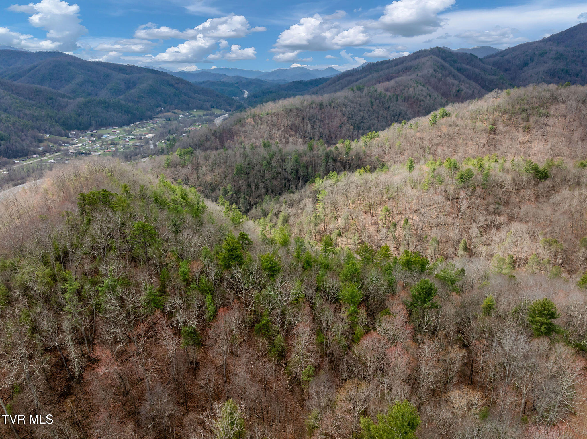 Lot 3 Ray Kegley Road, Unit 3 Erwin, TN 37650 - Photo 6 of 23 DJI_0302