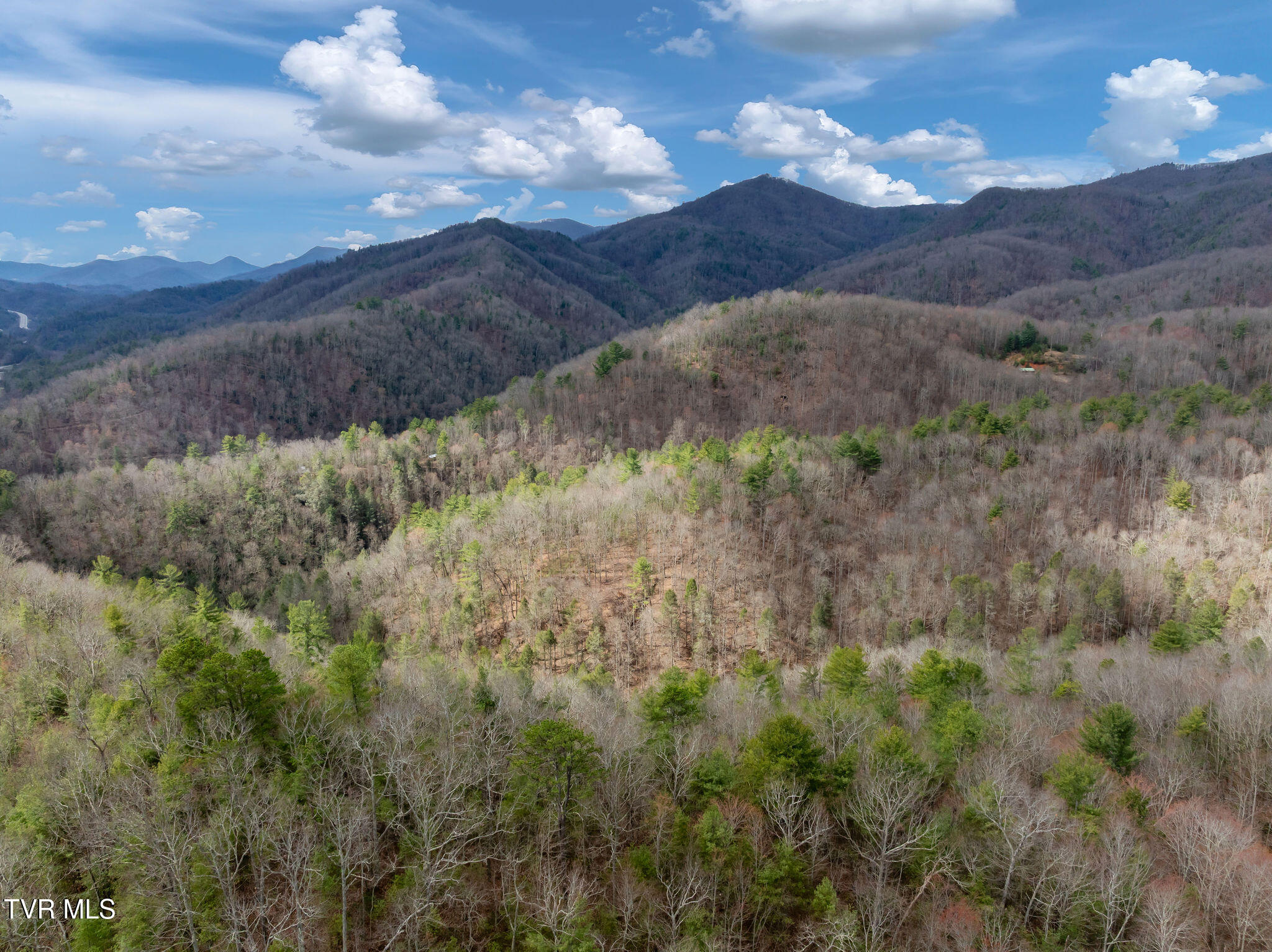 Lot 3 Ray Kegley Road, Unit 3 Erwin, TN 37650 - Photo 7 of 23 DJI_0307