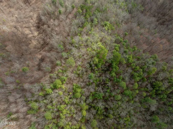 $89,400 | Lot 3 Ray Kegley Road, Unit 3, Erwin, TN 37650