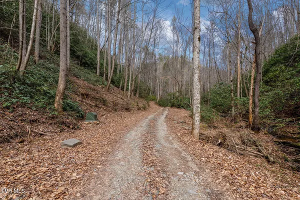 $89,400 | Lot 3 Ray Kegley Road, Unit 3, Erwin, TN 37650