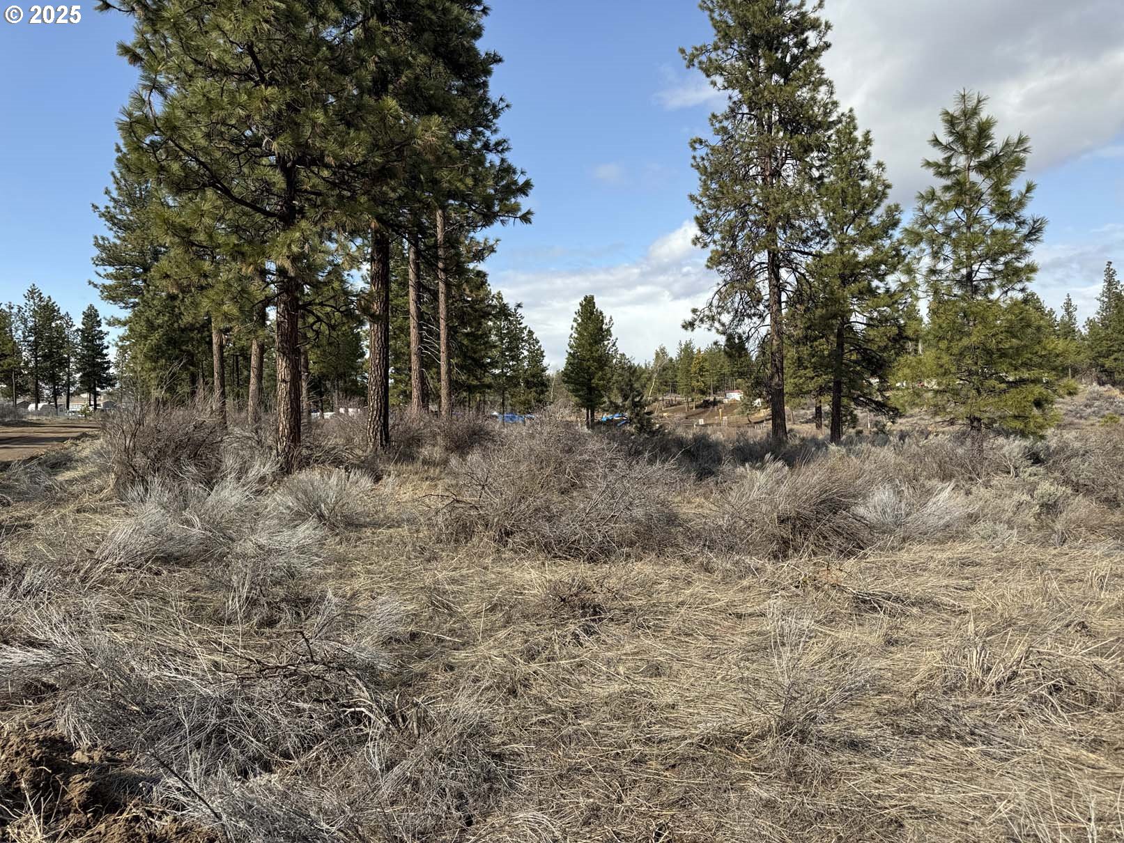 Copperfield Drive, Unit 5 Chiloquin, OR 97624 - Photo 3 of 22