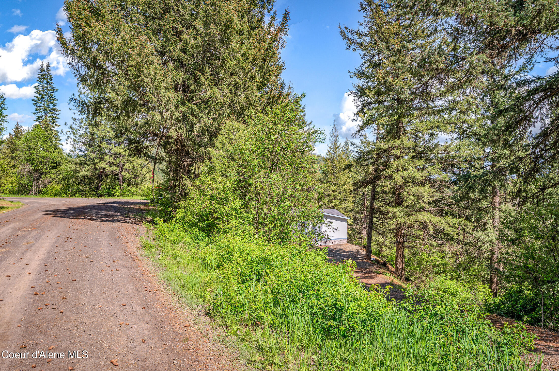 438 Ridgeview Drive St. Maries, ID 83861 - Photo 39 of 42 24