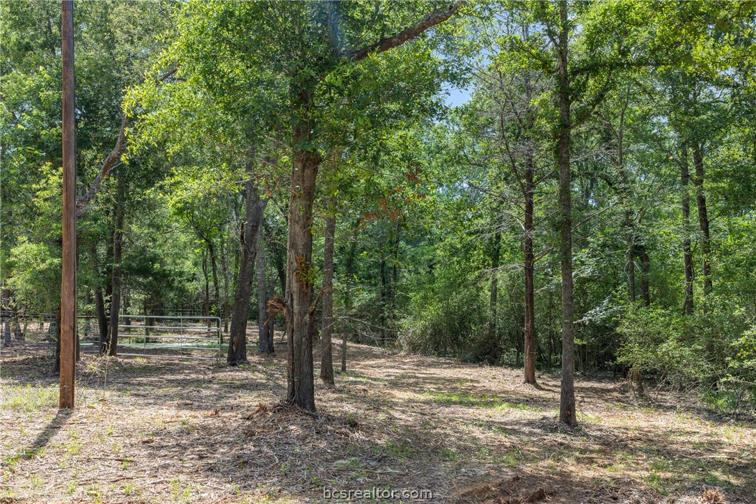 Tbd Weber Road Bryan, TX 77808 - Photo 23 of 43