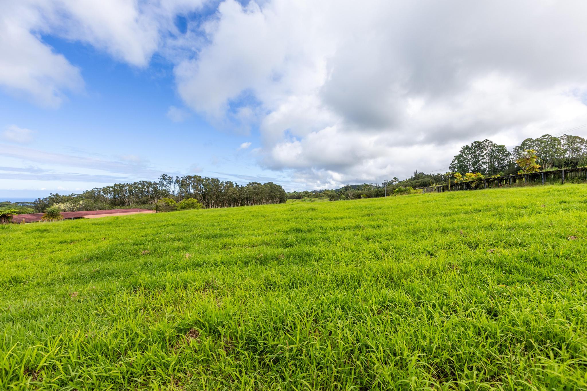 Lot F Chin Chuck Road Papaikou, HI 96781 - Photo 5 of 11