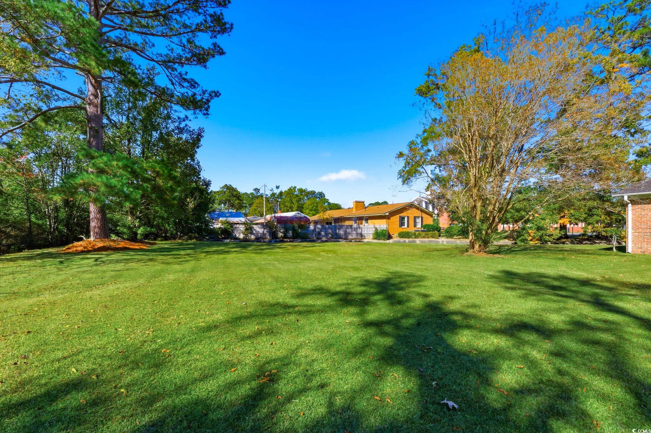 1605 Sessions Street Conway, SC 29526 - Photo 6 of 20 View of grassy yard