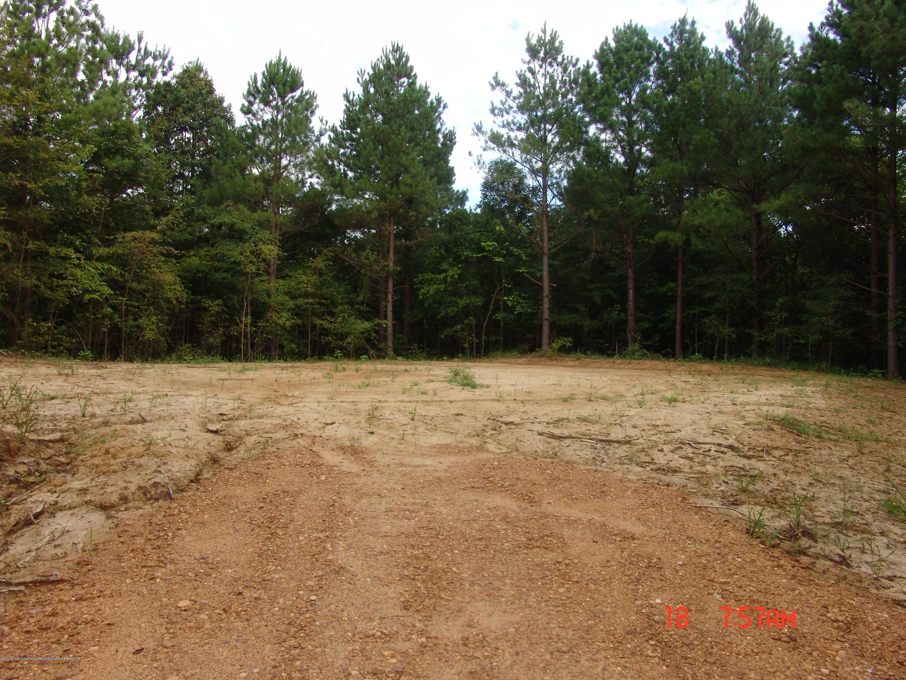 0 Sandy Branch Road Sarah, MS 38665 - Photo 1 of 13 DSC09703