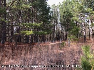0 Sandy Branch Road Sarah, MS 38665 - Photo 11 of 13 sandy branch 6