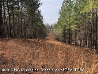 0 Sandy Branch Road Sarah, MS 38665 - Photo 12 of 13 sandy branch 7